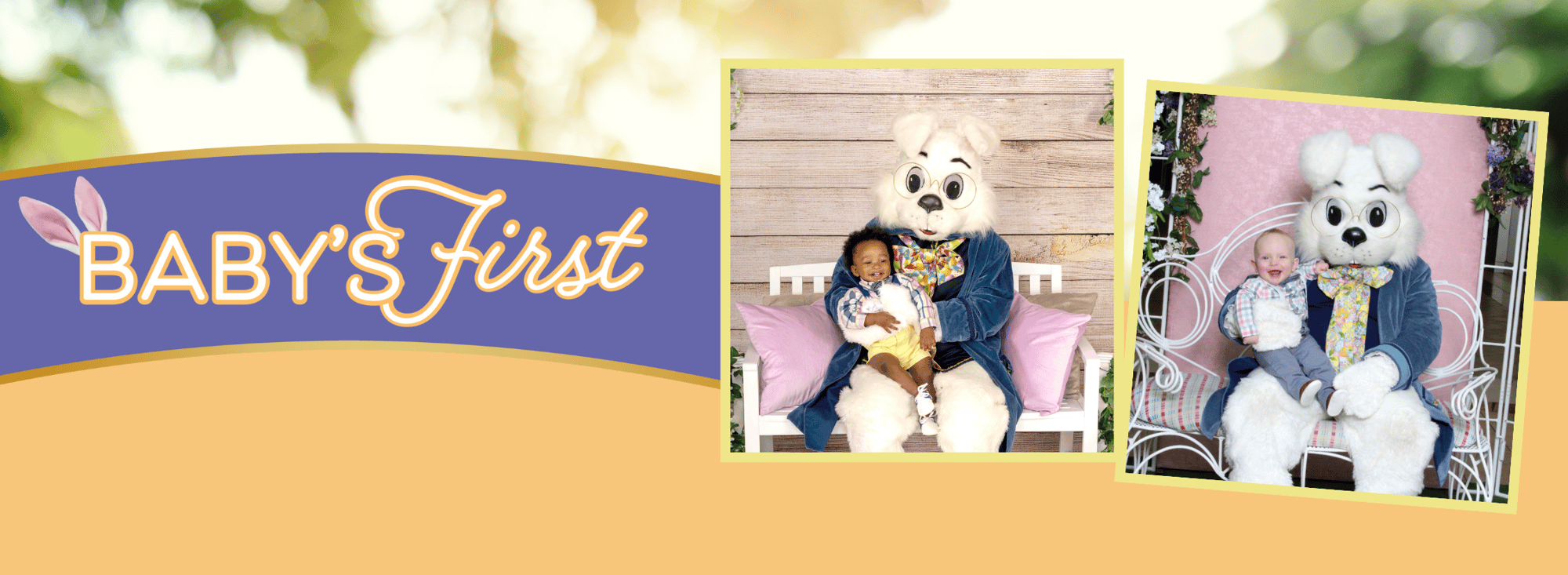 BABYS FIRST - Web Banner (3)